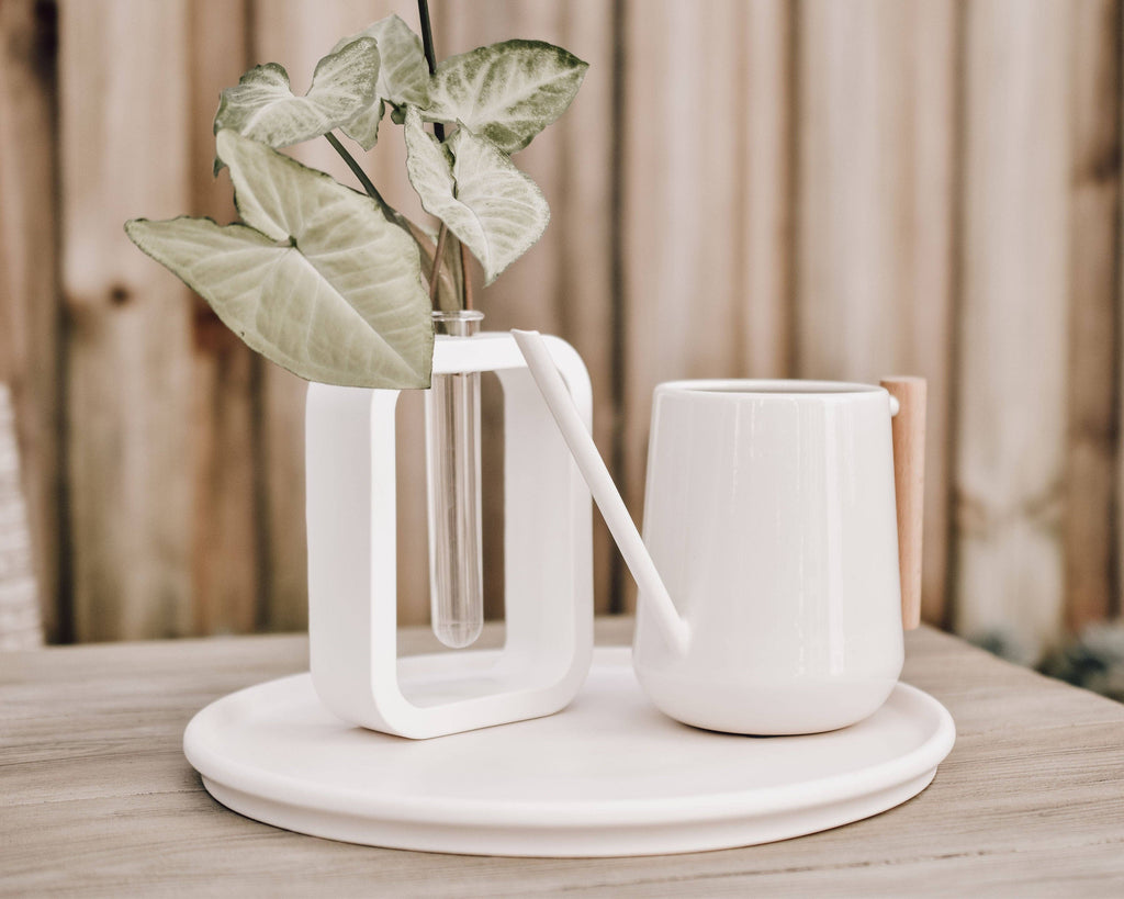 Haven Homewares - Florence Propagation Vase - White