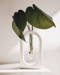 Haven Homewares - Milan Propagation Vase - White