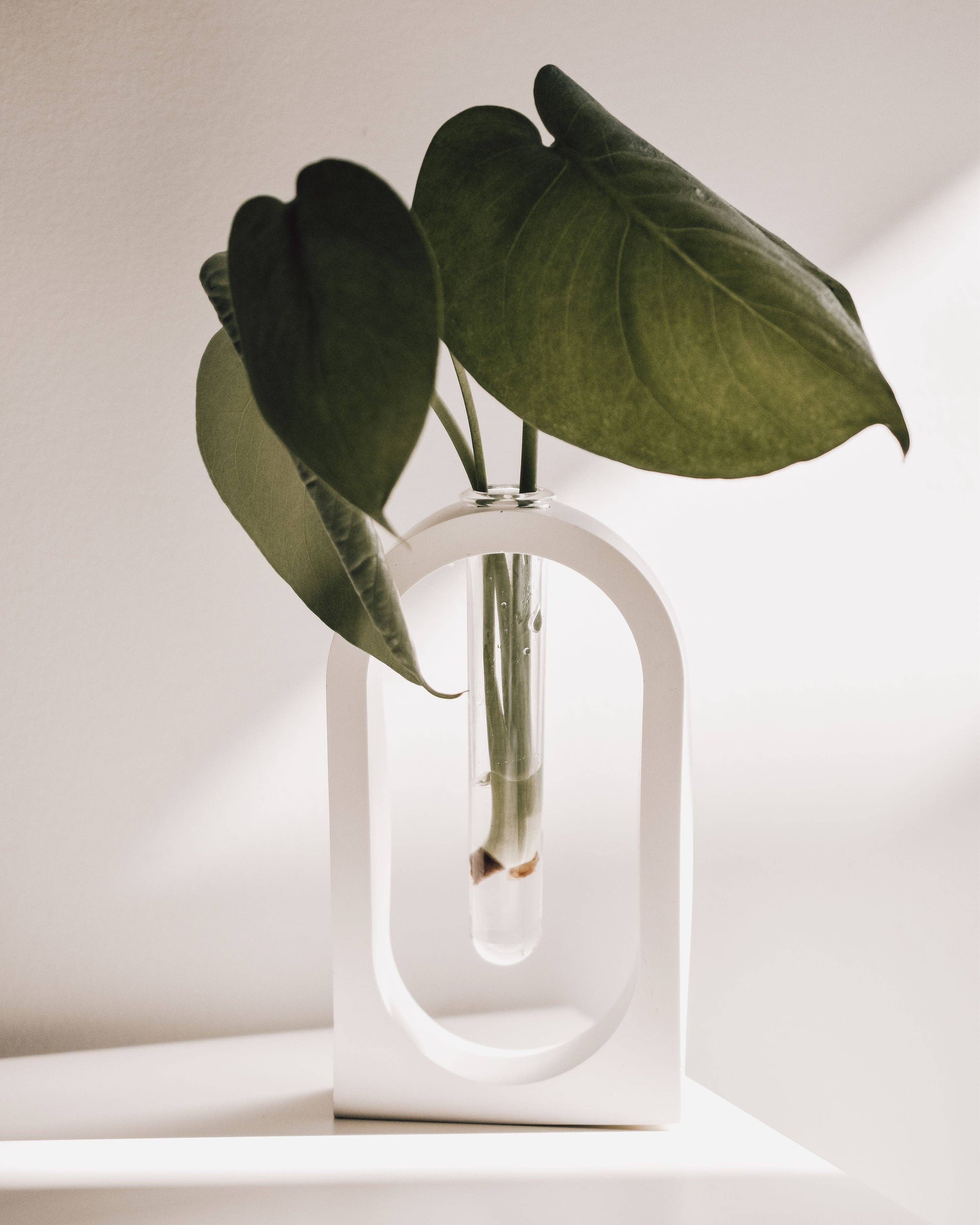 Haven Homewares - Milan Propagation Vase - White