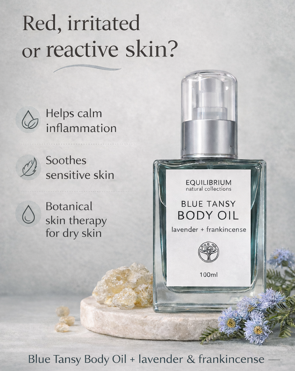 Equilibrium Natural Collections - BLUE TANSY BODY OIL LAVENDER + FRANKINCENSE 100ML