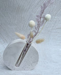 Haven Homewares - Sutton Propagation Vase - White