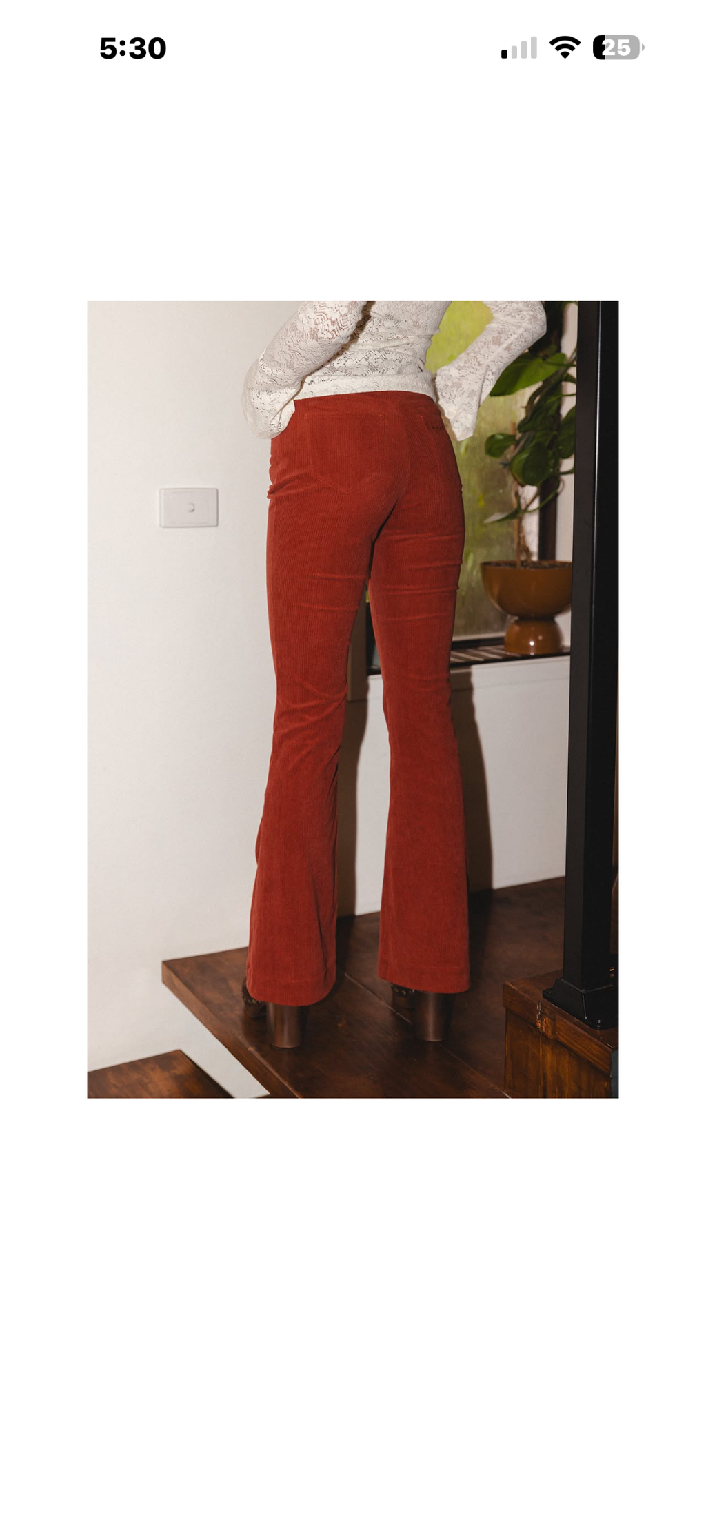 Cords - Cherry