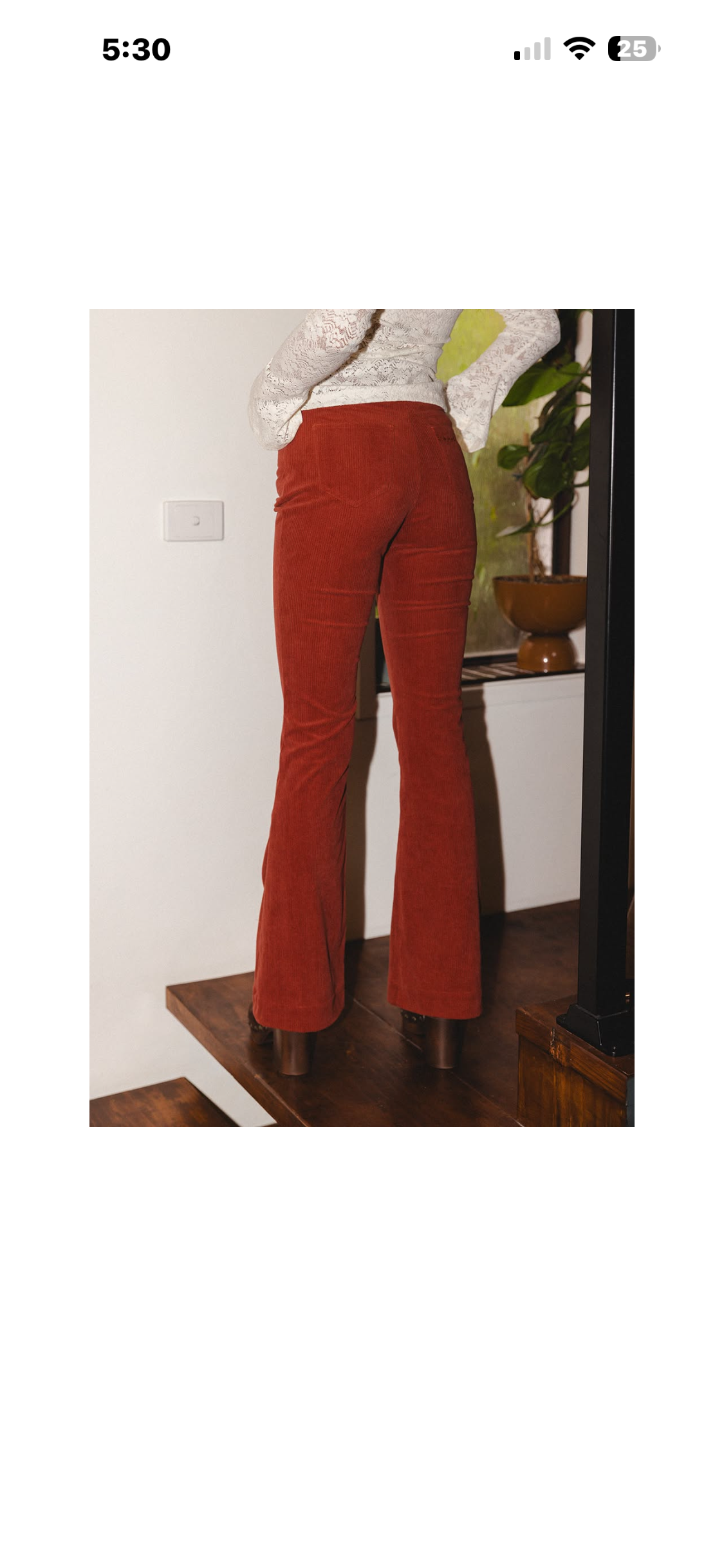 Cords - Cherry