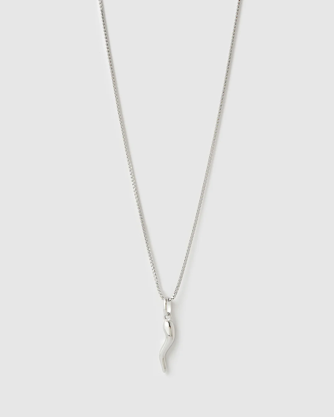 Cornicello Silver Charm Necklace