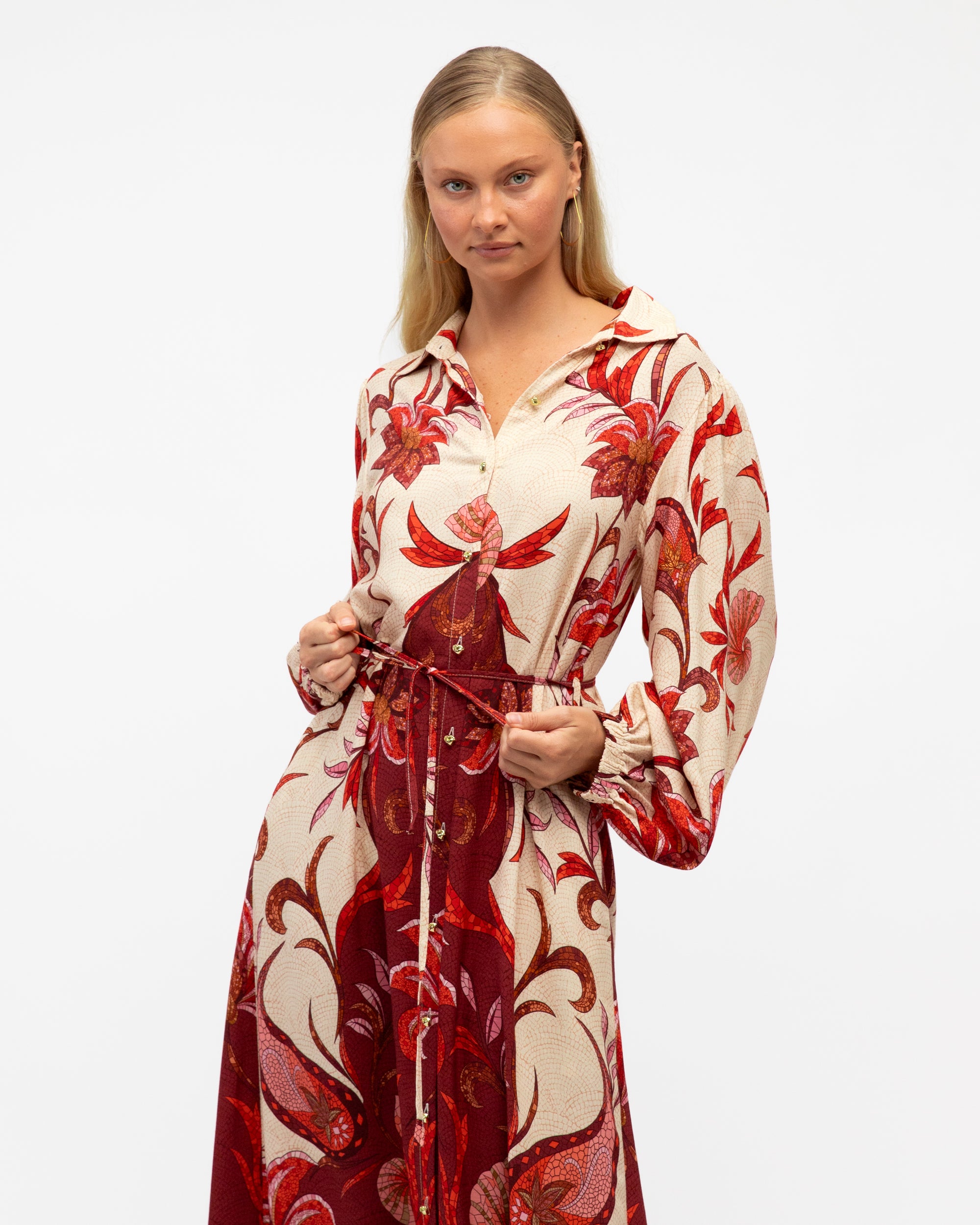 Kindred Spirits - Long Sleeve Maxi Dress