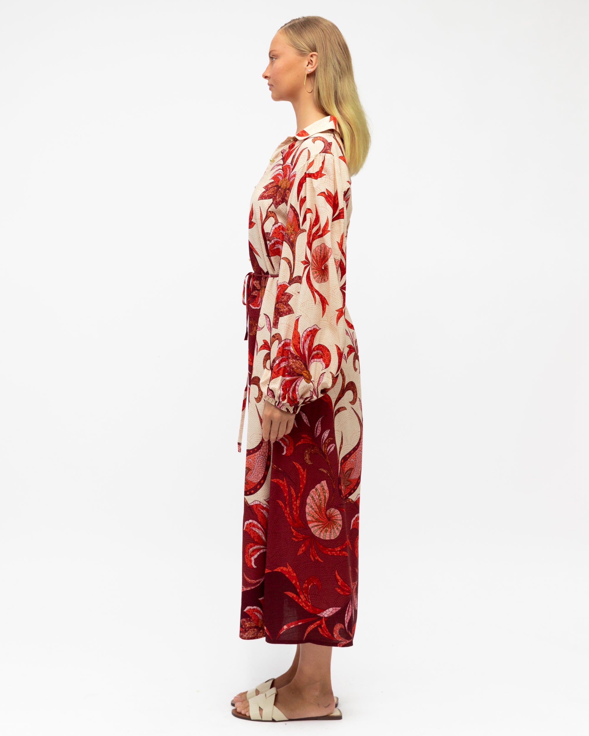 Kindred Spirits - Long Sleeve Maxi Dress