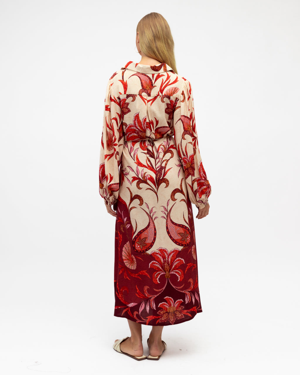 Kindred Spirits - Long Sleeve Maxi Dress