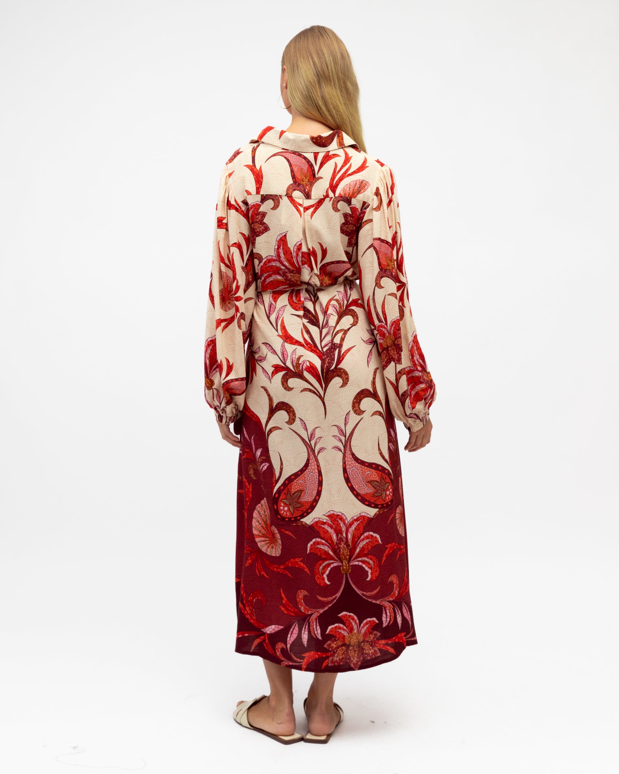 Kindred Spirits - Long Sleeve Maxi Dress