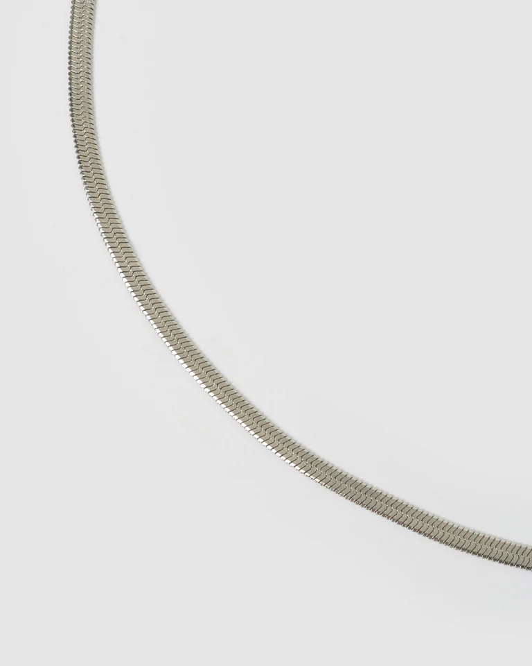 Sylvia Silver Snake Chain Necklace