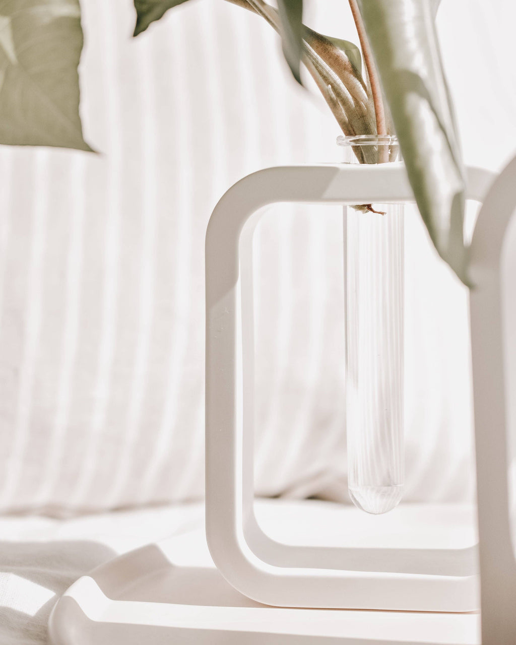 Haven Homewares - Florence Propagation Vase - White