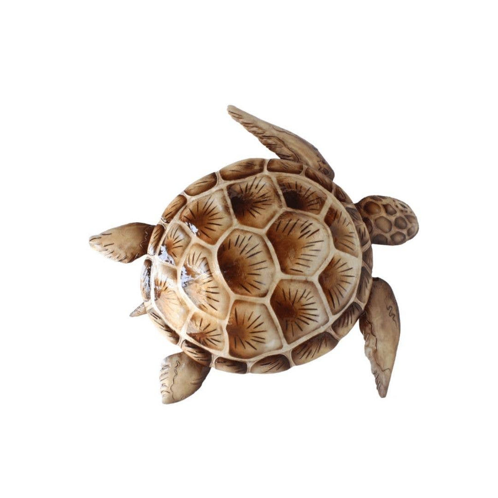 DARLIN - Capiz Brown Turtle Wall Art